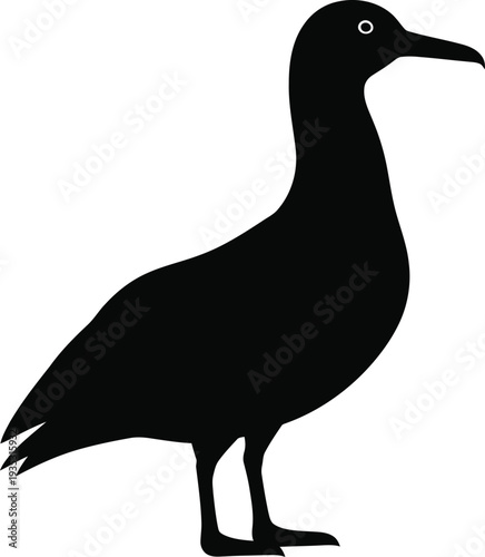 Black silhouette of a bird with distinctive beak and legs