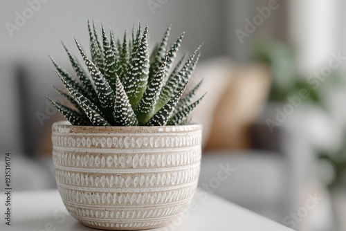 A Haworthia Fasciata succulent in a pot, presented on a clean white table against a bright, blurred background, showcasing its intricate details and modern aesthetic.