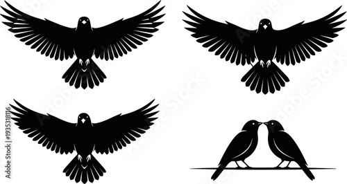 Black bird silhouette set with flying crows and love birds on branch, raven wings spread vector icons on white background
