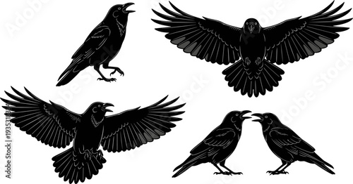 Crow and Raven Silhouette Vector Set with Flying Standing and Croaking Birds Gothic Halloween Graphic Elements Isolated on White Background