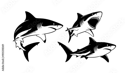 Angry Shark Black Silhouette Set Vector Predator Illustration Isolated on White