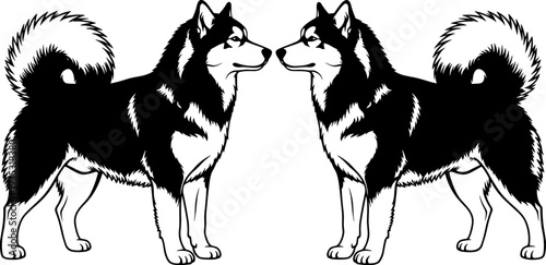 Siberian husky dog silhouette vector illustration, black and white mirrored twin sled dogs standing isolated on white background, pet design.