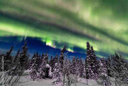 アラスカ　フェアバンクスのオーロラ