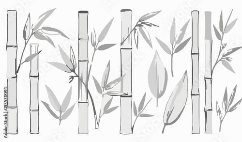Hand-drawn bamboo plant vector set with stalks, leaves, and twigs on white background
