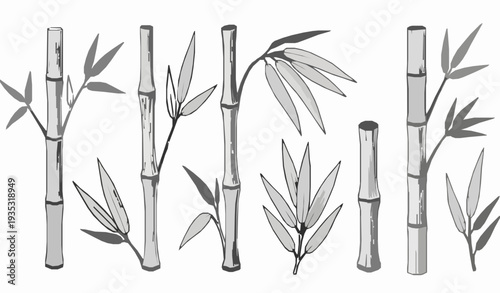 Asian bamboo plant vector set with engraved hand-drawn stalks and leaves