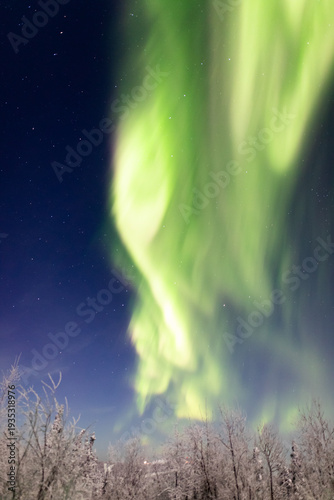 アラスカ　フェアバンクスのオーロラ