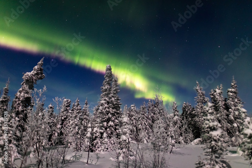 アラスカ　フェアバンクスのオーロラ