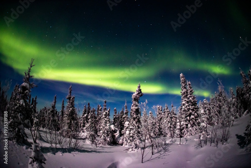 アラスカ　フェアバンクスのオーロラ