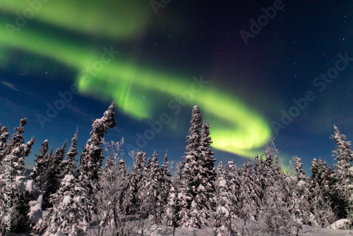 アラスカ　フェアバンクスのオーロラ
