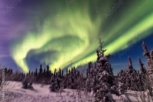 アラスカ　フェアバンクスのオーロラ