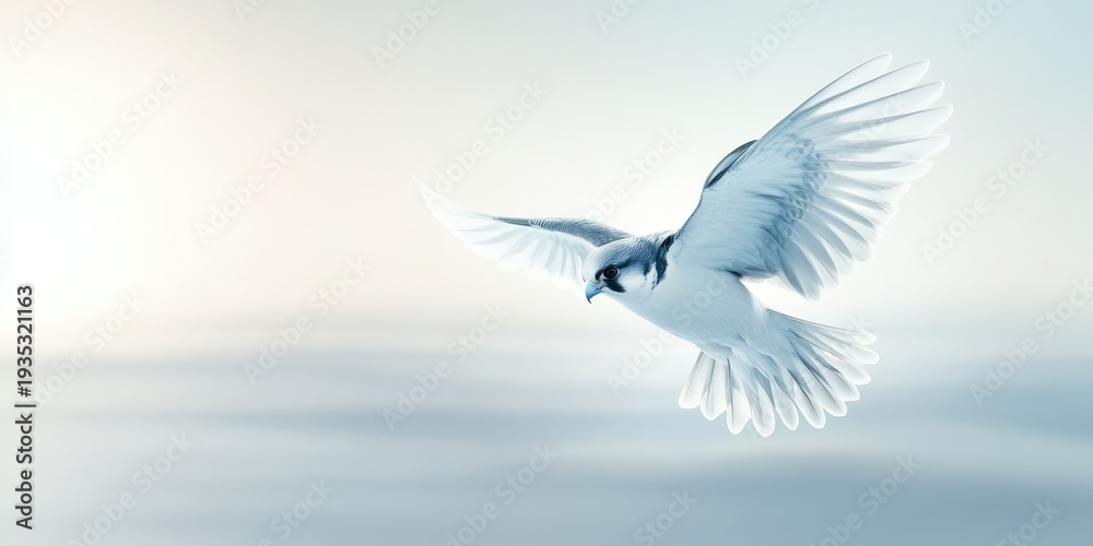 Fototapeta premium Captivating Flight of a Bird in Serene Atmosphere