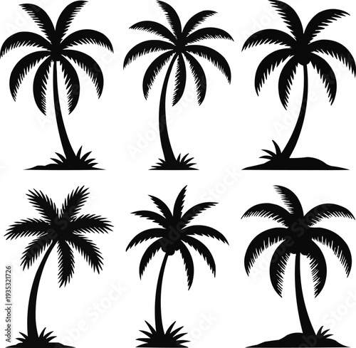 Summer Beach Palm Silhouettes Tropical Nature Travel Logo Elements