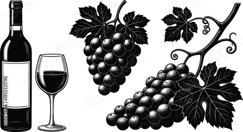 Vintage Black and White Woodcut Illustration Featuring a Wine Bottle with Blank Label, Glass of Red Wine, and Ripe Grape Bunches on the Vine