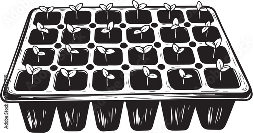 Seedlings growing in a tray with multiple small pots