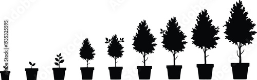 Black and white vector silhouette showing various growth stages of a potted plant from a small seedling to a mature tree for gardening concepts