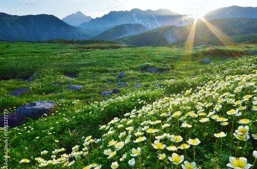 Wallpaper Mural 北アルプス 立山連峰　夏景色	 Torontodigital.ca