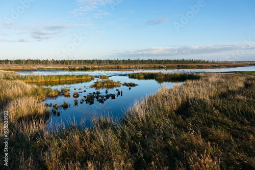 Naturschutzgebiet Anklamer Stadtbruch in der Abendsonne