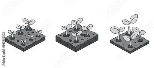 Seedling plants growing in staged soil isometric panels