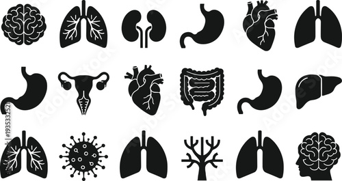 Black human internal organ icons set for medical healthcare including brain, heart, lungs, stomach, kidneys and liver vector anatomy illustration