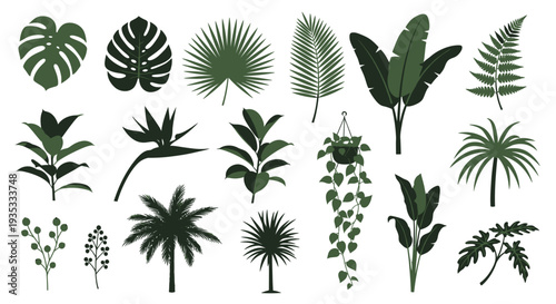 Collection of various tropical leaves and plants in different shapes and sizes.