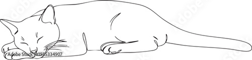 Minimalist line of a sleeping cat line minimalist black and white feline