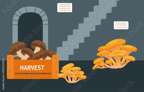 Fresh gourmet mushrooms harvested from a stone cellar. A wooden crate displays a bountiful harvest, alongside individual clusters. Rustic, detailed, and visually appealing.