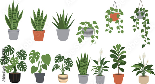 Collection of indoor potted houseplants set, tropical green foliage plants in pots, home decor botanical illustration design