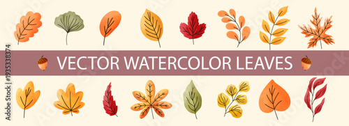 Autumn maple watercolor with leaves leaf fall and dry japanese tree. Vector foliage yellow with red color illustration and oak brown cute. Design element autumn with gold green leaves