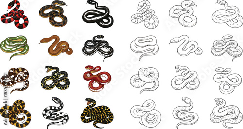Coiled snake illustrations in various colors and outline styles, dangerous poisonous reptiles for nature, wildlife, or tattoo design, isolated vector