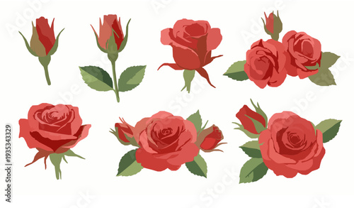 Watercolor Red Rose Collection with Green Leaves in Blooming Stages Valentine Botanical Vector Isolated on White
