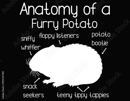 Anatomy Of A Furry Potato Funny Pet Illustration - printable editable vector art file.