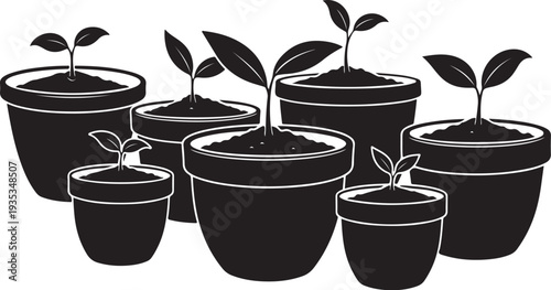 Small plants growing in various sized black pots illustration