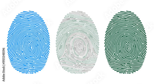 Fingerprint patterns displayed in a row, showcasing different colors and textures in a simple graphic design on a clean background