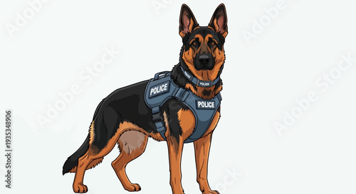 A police dog wearing a tactical vest standing alert in a plain white environment from a frontal viewpoint