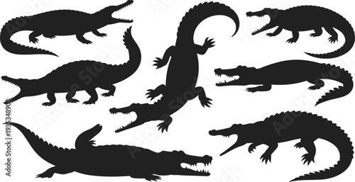 Crocodile and alligator silhouette set isolated on white background, wild reptile predator collection flat vector illustration for design