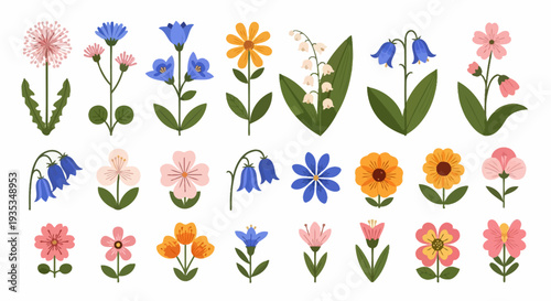 Collection of various colorful flowers and leaves arranged in a grid pattern on a clean background from a direct viewpoint