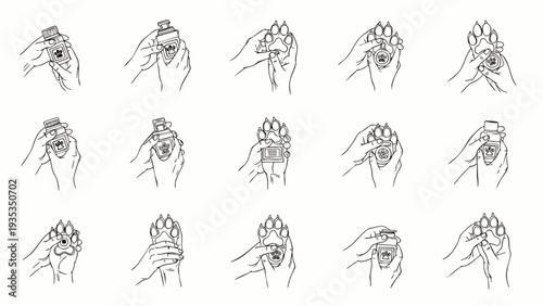 Step-by-step illustration of cleaning a dog or cat paw with wet wipes, showing close-up hand and paw detail.