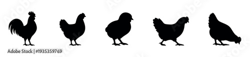 A dynamic collection of farm poultry silhouettes featuring a proud rooster, various active hens in different poses, and a young chick, suitable for agricultural branding, educational