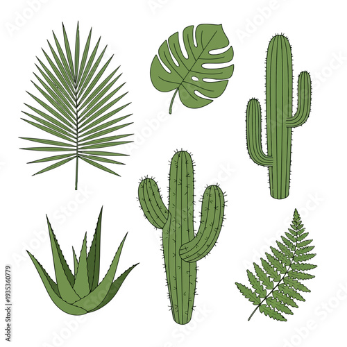 Collection of various desert plants and tropical leaves illustrated in a simple style from a direct viewpoint