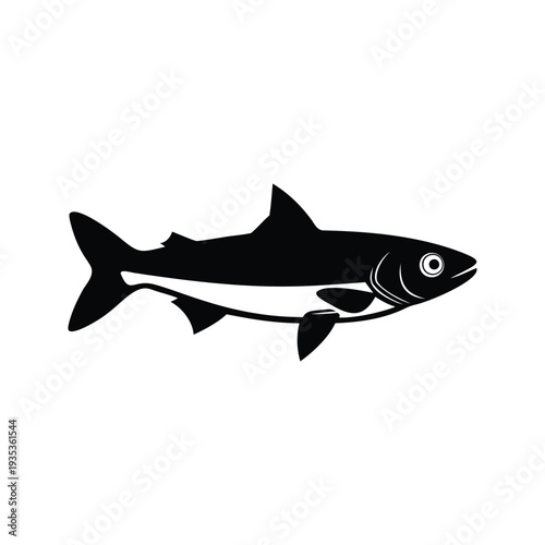 Black and white fish silhouette vector illustration detailed scales and fins, anchovy silhouette vector illustration