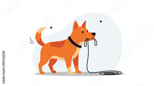 Loyal dog standing and holding its own leash in its mouth as a request to go for a walk in a clean white background.