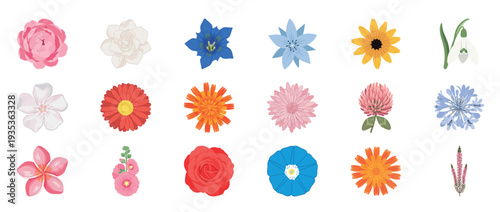 Colorful floral flowers icon set featuring dahlia orchid lotus poppy and botanical blossoms decorative outline line editable stroke spring garden