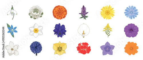 Colorful floral flowers icon set featuring dahlia orchid lotus poppy and botanical blossoms decorative outline line editable stroke spring garden