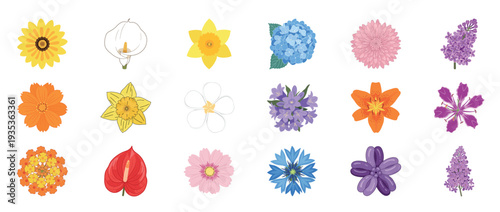 Colorful floral flowers icon set featuring dahlia orchid lotus poppy and botanical blossoms decorative outline line editable stroke spring garden