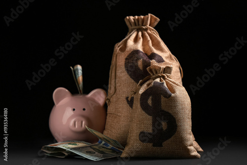 Bags full of money and pigg...