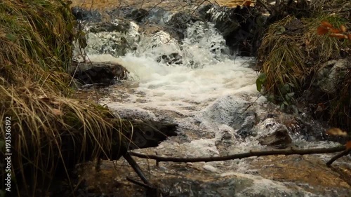 Der Ochsenfloß-Bach bei Börfink
