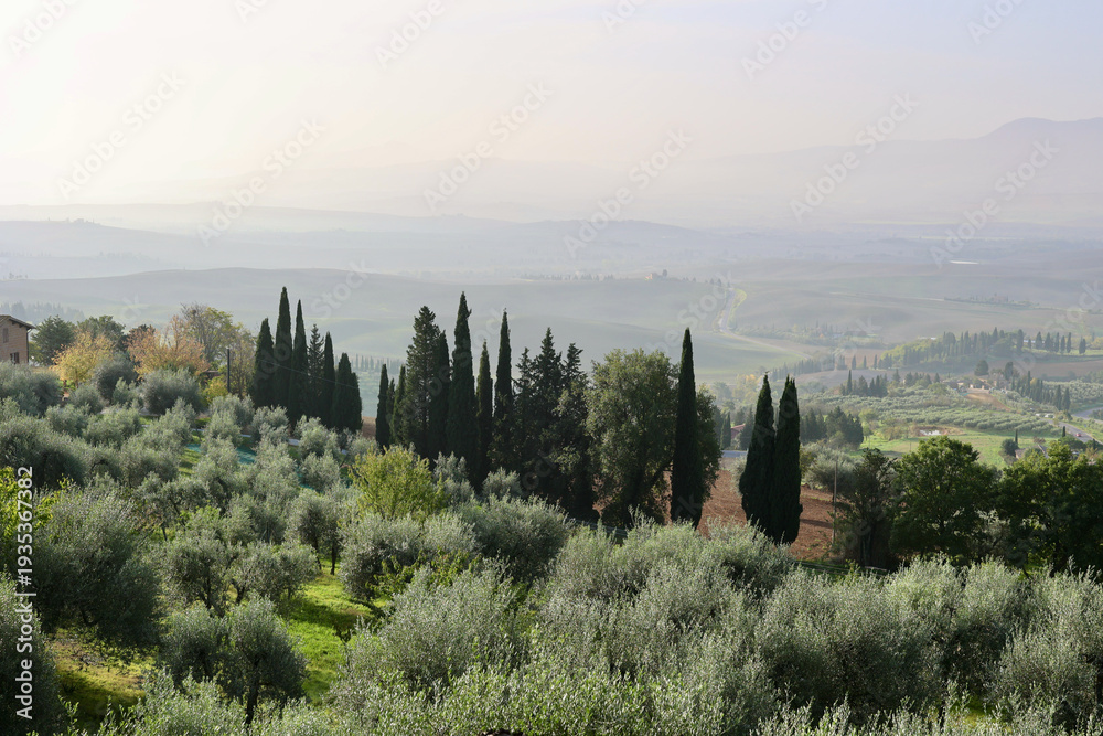 Fototapeta premium Misty Autumn Morning in Val d’Orcia Near Pienza, Tuscany