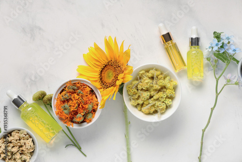 Bottles of essential oil wi...