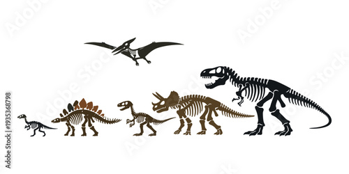 Dinosaur skeletons including T-rex and triceratops fossils displaying prehistoric life and paleontology discovery