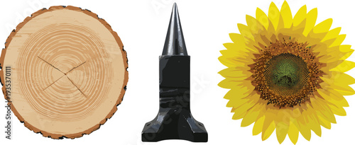 Tree trunk, metal anvil, sunflower comparison, nature and industry contrast, textures, concentric rings, Fibonacci pattern, white background